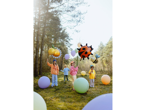 Balon cu folie Ladybird - 85x83 cm - 1 buc.