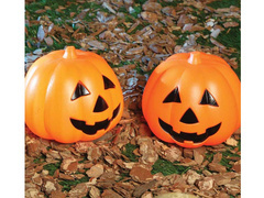 Dovleac strălucitor - 15 cm - 1 buc.