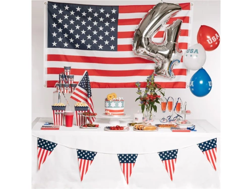 Farfurii de hârtie cu steagul SUA - 23 cm - 10 buc.