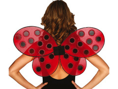 Aripi de pasăre - 1 pereche