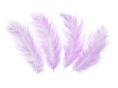 Pene lungi decorative violet - 50 buc.