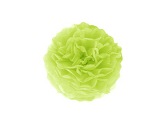 Decorațiuni florale suspendate pom pom - verde - 25 cm - 1 buc.