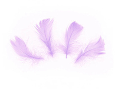 Pene scurte violet decorative - 50 buc.