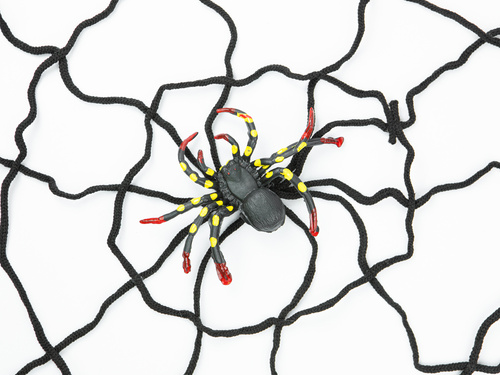 Pânză de păianjen neagră mare - 150 cm - 1 buc.