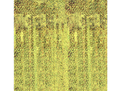 Perdea holografică aurie pentru ușă - 200 cm x 100 cm