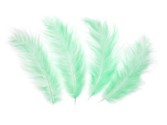 Pene decorative verzi lungi - 50 buc.