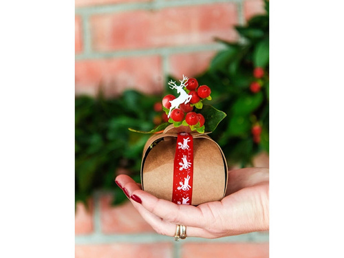 Cutii de oaspeți maro - 10 buc.