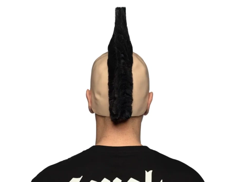 Peruca Punk - 1 buc.