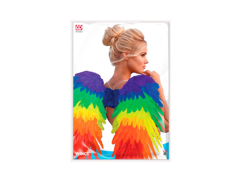 Aripi de pene pliabile Rainbow 80×60 cm