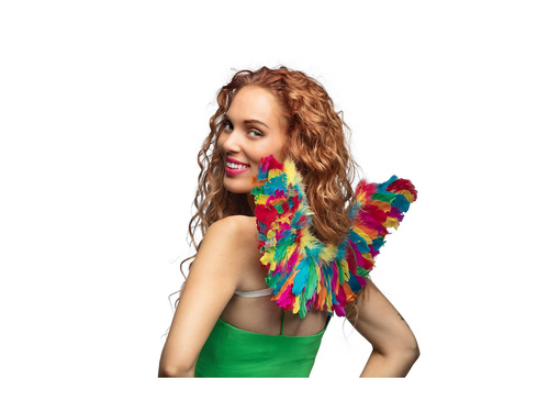 Aripi de înger colorate