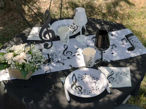 Farfurii de hârtie Pentacle - 22,5 cm - 10 buc.