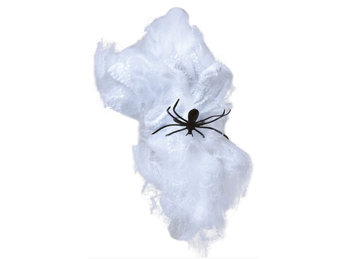 Păianjen de Halloween cu pânză - 1 buc.