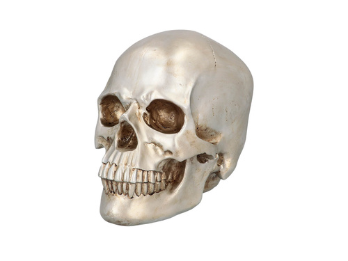 Craniu strălucitor de Halloween - 1 buc.