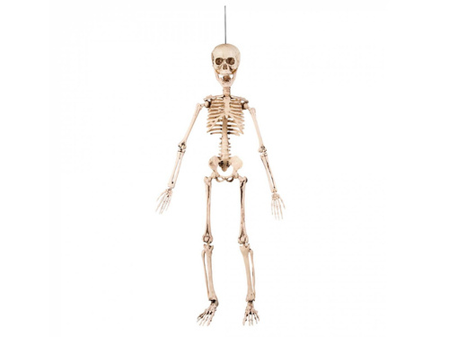 Decor suspendat Schelet - 50 cm - 1 buc.