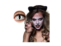 Lentile de contact pentru pisici - 3 luni