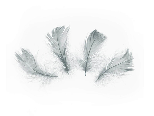 Pene scurte decorative gri - 50 buc.