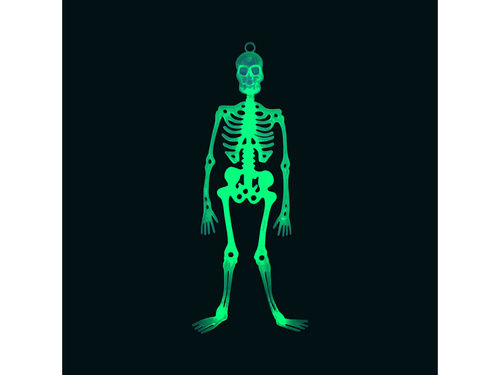 Decor suspendat Schelet - 33 cm - 1 buc.