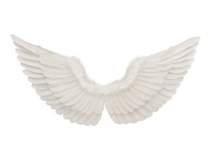 Aripi de înger albe - cm - 1 buc.