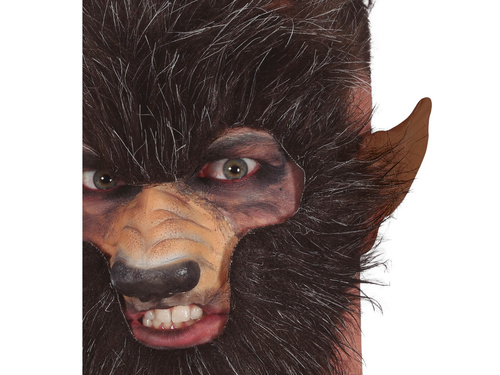 Urechi de vârcolac - 1 buc.