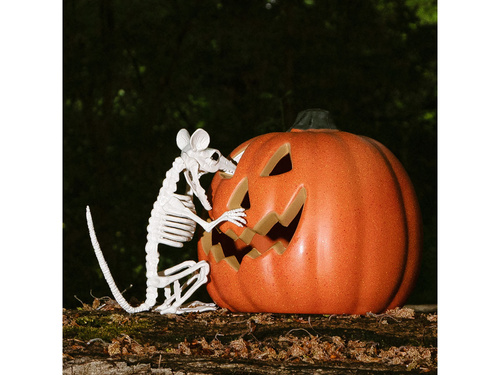 Decor schelet șobolan - 18 cm - 1 buc.