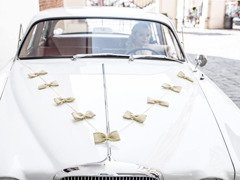 Set de decorațiuni auto Bows - 4 elemente.