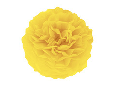 Decorațiuni florale suspendate pom pom - galben - 35 cm - 1 buc.