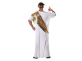 Costumul lui Caesar