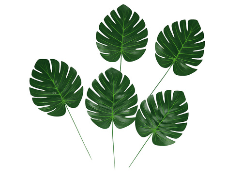 Decorațiuni cu frunze Monstera - 5 buc.