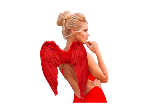 Aripi cu pene roșii 50×40 cm