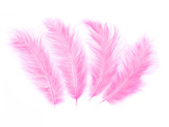Pene lungi decorative roz - 50 buc.