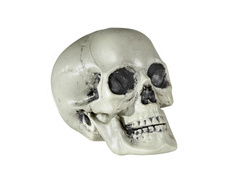 Craniu de Halloween - 21 cm - 1 buc.