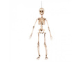 Decor suspendat Schelet - 50 cm - 1 buc.