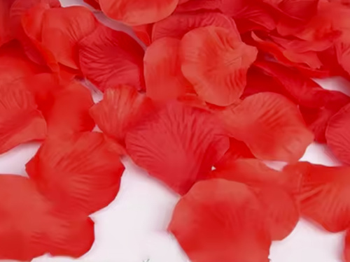 Petale de trandafir - roșu - 100 buc.