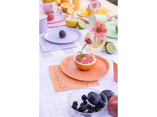 Farfurii pastelate pentru ziua de naștere - 21 cm - 6 buc.