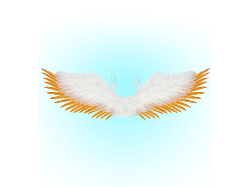 Aripi de înger albe cu pene aurii - 100 x 25 cm - 1 buc.