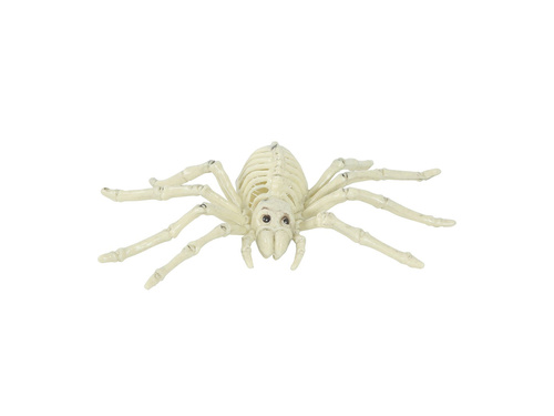 Spider Skeleton decor - 24 cm - 1 buc.