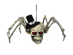 Craniu păianjen Halloween - 1 buc.