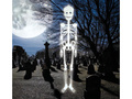 Decor fluorescent suspendat Schelet - 75 cm - 1 buc.