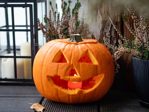 Set de sculptură în dovleac - 1 kpl.