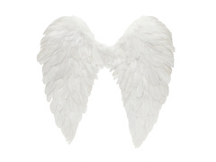 Aripi de înger albe - cm - 1 buc.