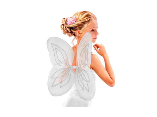 Aripi albe 58×46 cm