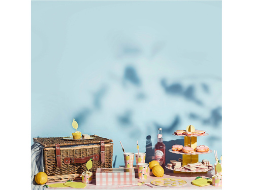 Banner Lemonade - 250 cm - 1 buc.