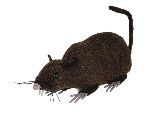 Șobolan de Halloween - 15 cm - 1 buc.