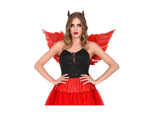 Aripi cu pene roșii 78×36 cm