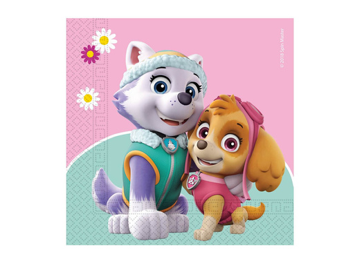 Set aniversar Psi Patrol Skye și Everest - 37pc.
