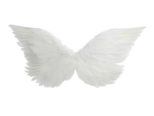 Aripi de înger albe - cm - 1 buc.