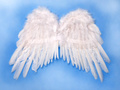 Aripi de înger albe - 50 x 35 cm - 1 buc.