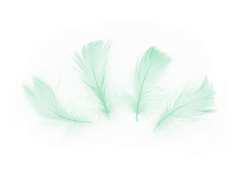 Pene scurte verzi decorative - 50 buc.