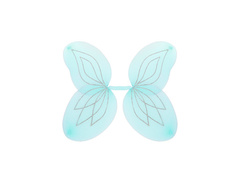 Aripi turcoaz 58×46 cm