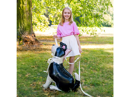 Border Collie câine în picioare balon de folie - 76x92 cm - 1 buc.